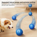 Bola De Brinquedo Eletrônica Interativa Para Animais De Estimação Móvel USB